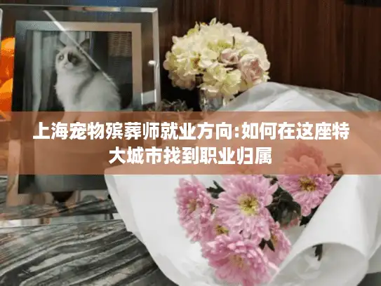 上海宠物殡葬师就业方向:如何在这座特大城市找到职业归属