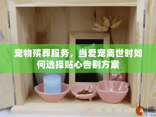 宠物殡葬服务，当爱宠离世时如何选择贴心告别方案