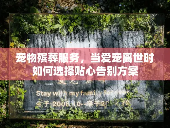 宠物殡葬服务，当爱宠离世时如何选择贴心告别方案
