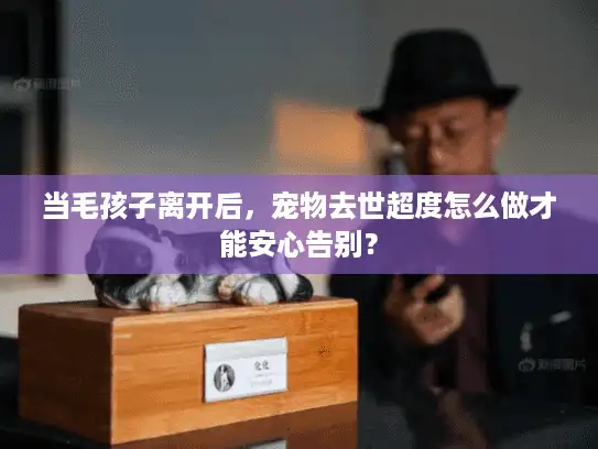 当毛孩子离开后，宠物去世超度怎么做才能安心告别？