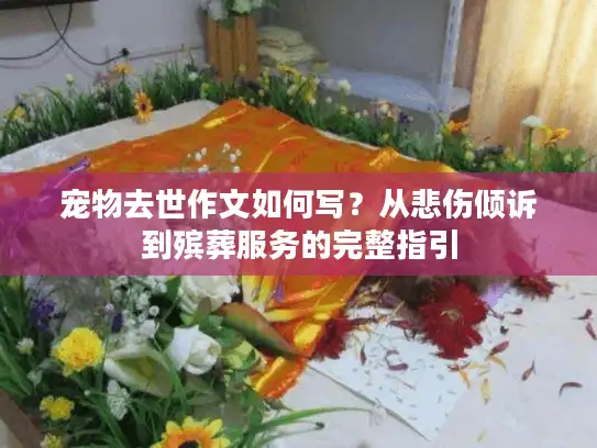 宠物去世作文如何写？从悲伤倾诉到殡葬服务的完整指引
