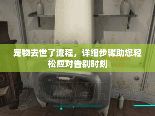 宠物去世了流程，详细步骤助您轻松应对告别时刻