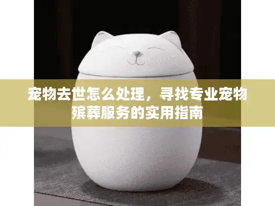 宠物去世怎么处理，寻找专业宠物殡葬服务的实用指南