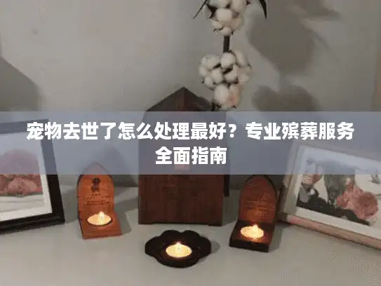 宠物去世了怎么处理最好？专业殡葬服务全面指南