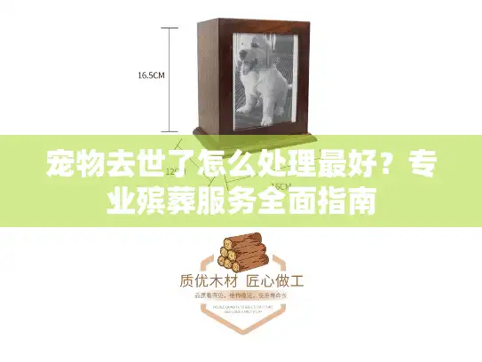 宠物去世了怎么处理最好？专业殡葬服务全面指南