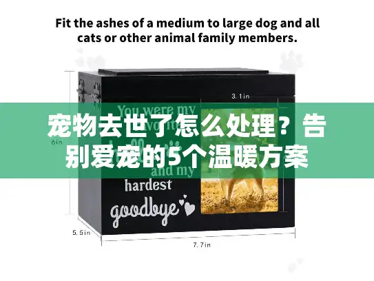 宠物去世了怎么处理？告别爱宠的5个温暖方案