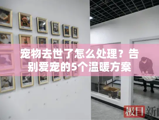 宠物去世了怎么处理？告别爱宠的5个温暖方案
