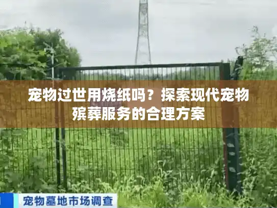 宠物过世用烧纸吗？探索现代宠物殡葬服务的合理方案