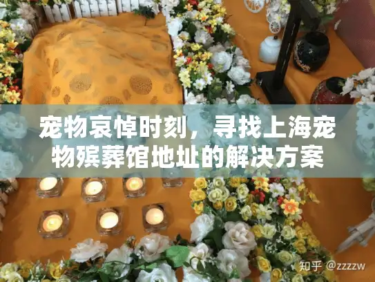 宠物哀悼时刻，寻找上海宠物殡葬馆地址的解决方案
