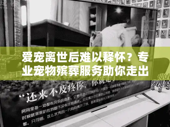 爱宠离世后难以释怀？专业宠物殡葬服务助你走出哀伤