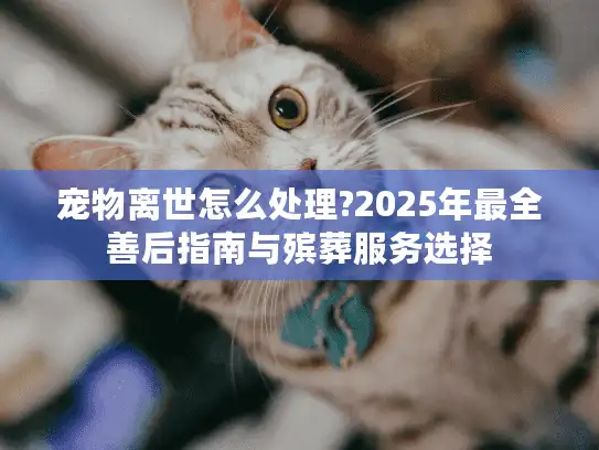 宠物离世怎么处理?2025年最全善后指南与殡葬服务选择