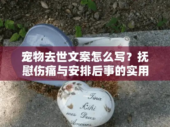 宠物去世文案怎么写？抚慰伤痛与安排后事的实用指南