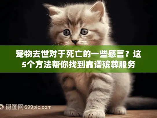 宠物去世对于死亡的一些感言？这5个方法帮你找到靠谱殡葬服务