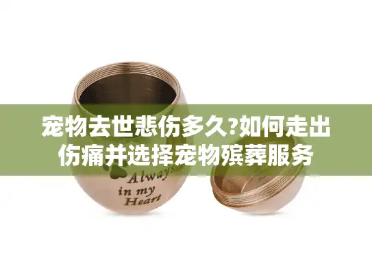 宠物去世悲伤多久?如何走出伤痛并选择宠物殡葬服务
