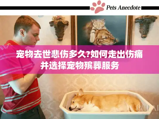宠物去世悲伤多久?如何走出伤痛并选择宠物殡葬服务
