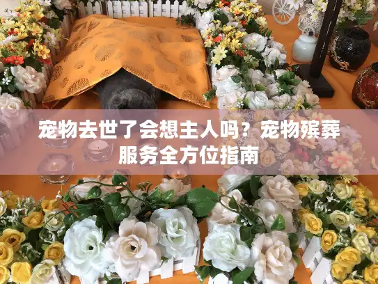宠物去世了会想主人吗？宠物殡葬服务全方位指南