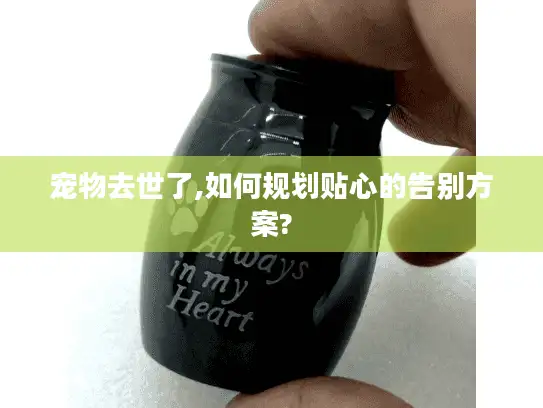 宠物去世了,如何规划贴心的告别方案?