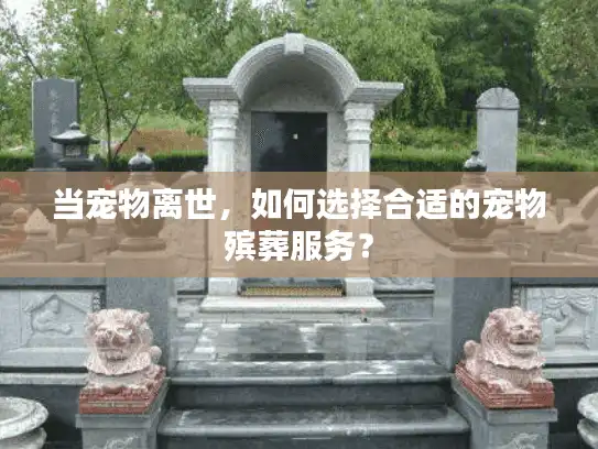 当宠物离世，如何选择合适的宠物殡葬服务？