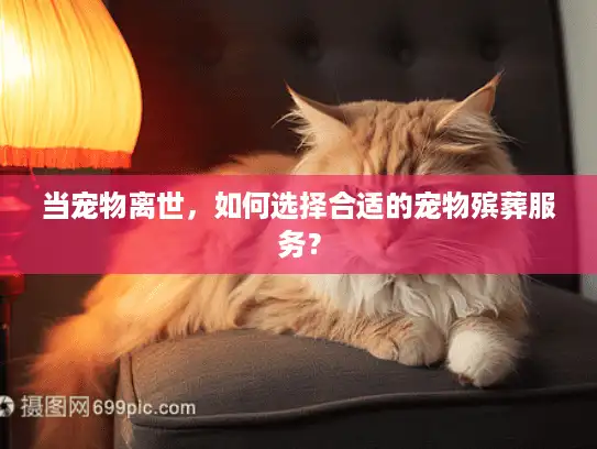 当宠物离世，如何选择合适的宠物殡葬服务？