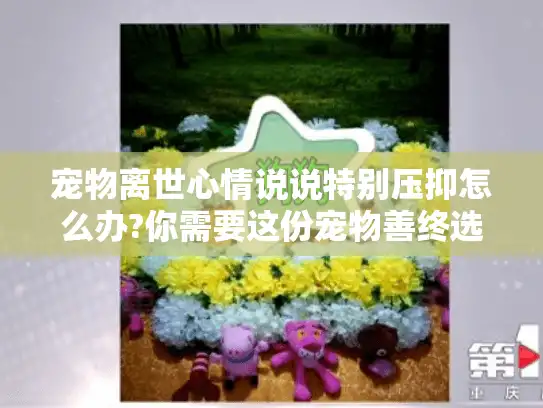 宠物离世心情说说特别压抑怎么办?你需要这份宠物善终选择指南
