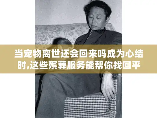 当宠物离世还会回来吗成为心结时,这些殡葬服务能帮你找回平静