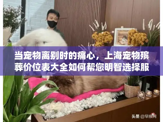 当宠物离别时的痛心，上海宠物殡葬价位表大全如何帮您明智选择服务？