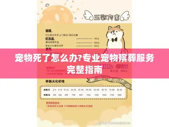 宠物死了怎么办?专业宠物殡葬服务完整指南
