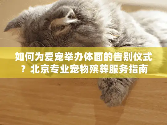 如何为爱宠举办体面的告别仪式？北京专业宠物殡葬服务指南