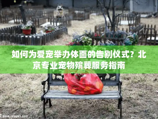 如何为爱宠举办体面的告别仪式？北京专业宠物殡葬服务指南