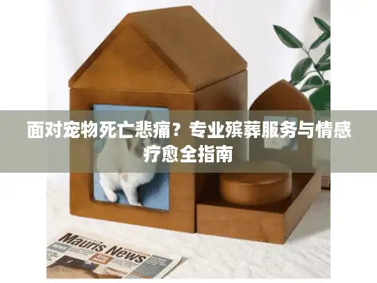 面对宠物死亡悲痛？专业殡葬服务与情感疗愈全指南