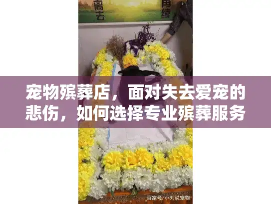 宠物殡葬店，面对失去爱宠的悲伤，如何选择专业殡葬服务？