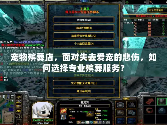 宠物殡葬店，面对失去爱宠的悲伤，如何选择专业殡葬服务？