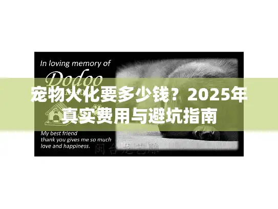 宠物火化要多少钱？2025年真实费用与避坑指南