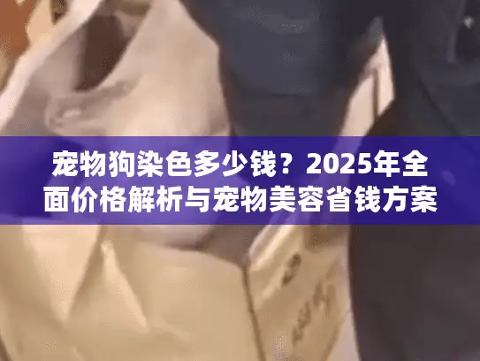 宠物狗染色多少钱？2025年全面价格解析与宠物美容省钱方案