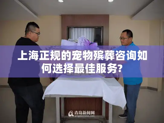 上海正规的宠物殡葬咨询如何选择最佳服务?