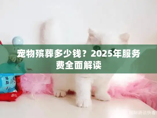 宠物殡葬多少钱？2025年服务费全面解读