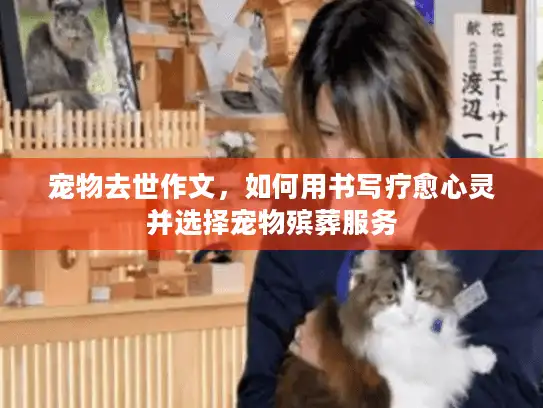 宠物去世作文，如何用书写疗愈心灵并选择宠物殡葬服务