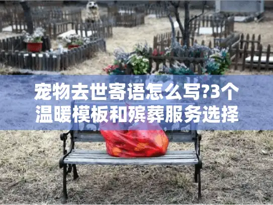宠物去世寄语怎么写?3个温暖模板和殡葬服务选择指南