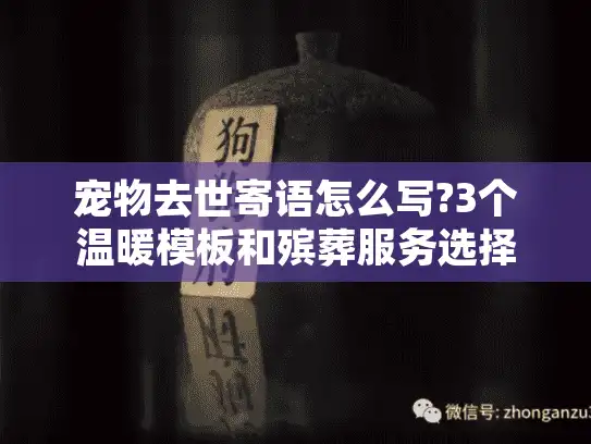 宠物去世寄语怎么写?3个温暖模板和殡葬服务选择指南