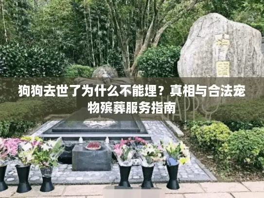 狗狗去世了为什么不能埋？真相与合法宠物殡葬服务指南