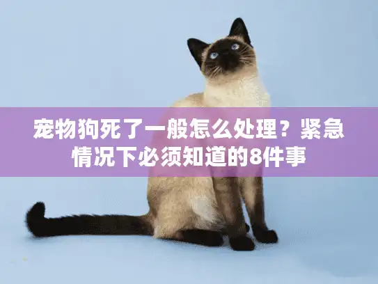 宠物狗死了一般怎么处理？紧急情况下必须知道的8件事