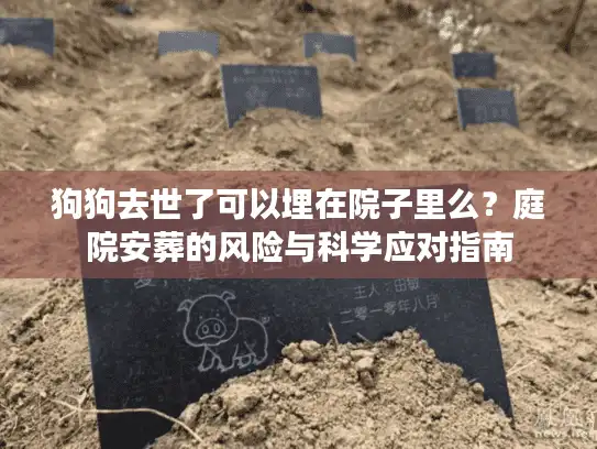 狗狗去世了可以埋在院子里么？庭院安葬的风险与科学应对指南
