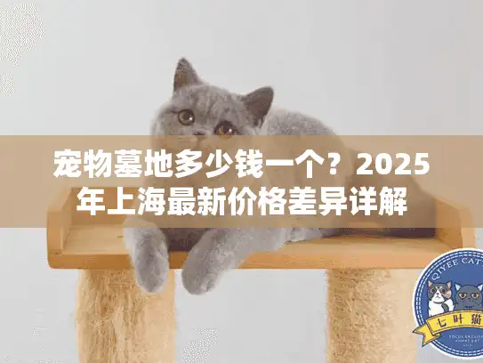 宠物墓地多少钱一个？2025年上海最新价格差异详解