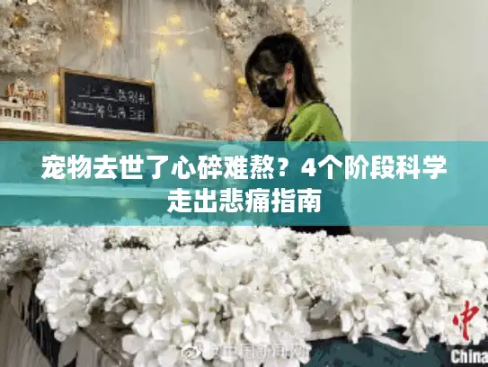 宠物去世了心碎难熬？4个阶段科学走出悲痛指南