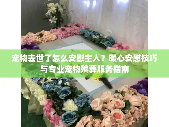 宠物去世了怎么安慰主人？暖心安慰技巧与专业宠物殡葬服务指南