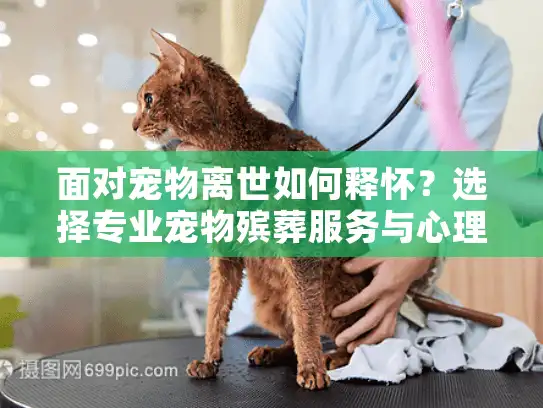 面对宠物离世如何释怀？选择专业宠物殡葬服务与心理辅导