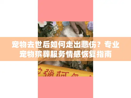 宠物去世后如何走出悲伤？专业宠物殡葬服务情感恢复指南