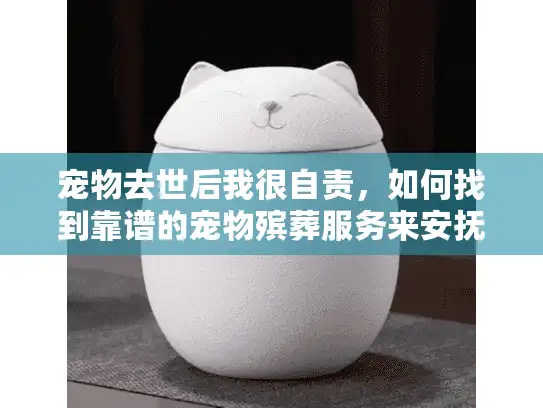 宠物去世后我很自责，如何找到靠谱的宠物殡葬服务来安抚内心？