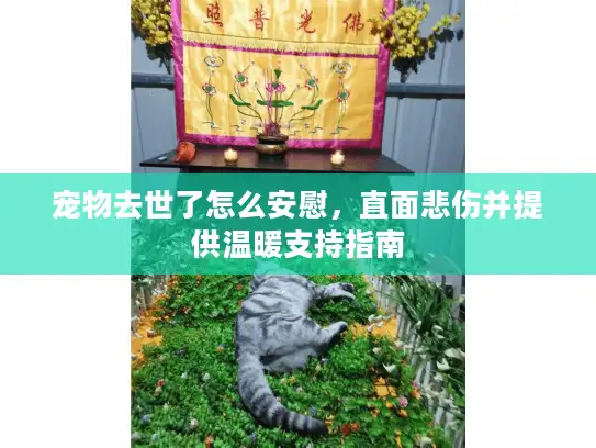宠物去世了怎么安慰，直面悲伤并提供温暖支持指南