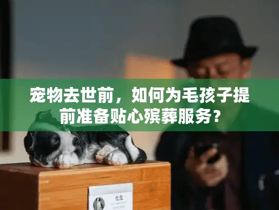 宠物去世前，如何为毛孩子提前准备贴心殡葬服务？